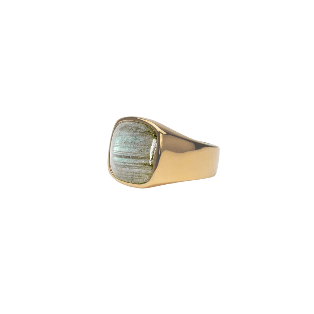 IX Cushion Signet Ring Labradorite - forgyldt