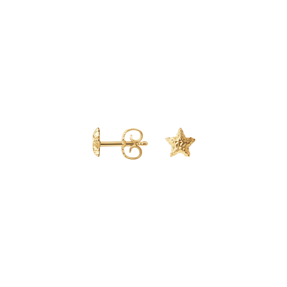 Camille Brinch Øreringe Sparkly Star Stud øreringe - forgyldt SPSE-FG