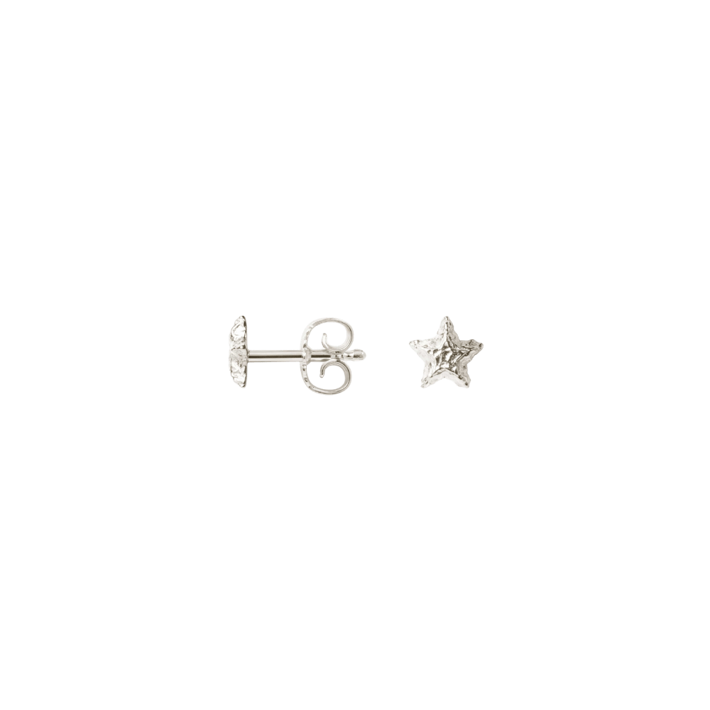 Camille Brinch Øreringe Sparkly Star Stud øreringe - sølv SPSE