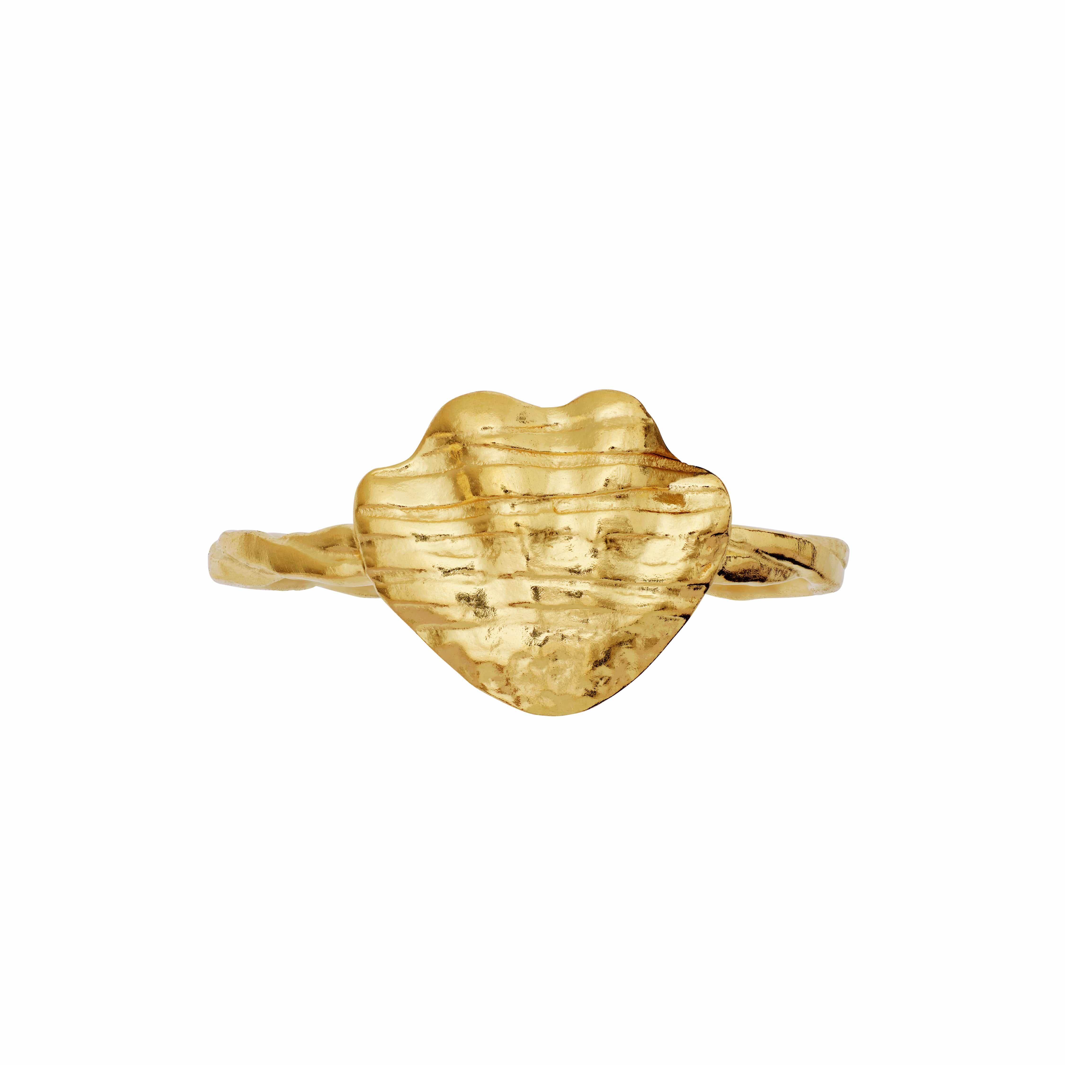 Maanesten Ringe Dwyn Ring