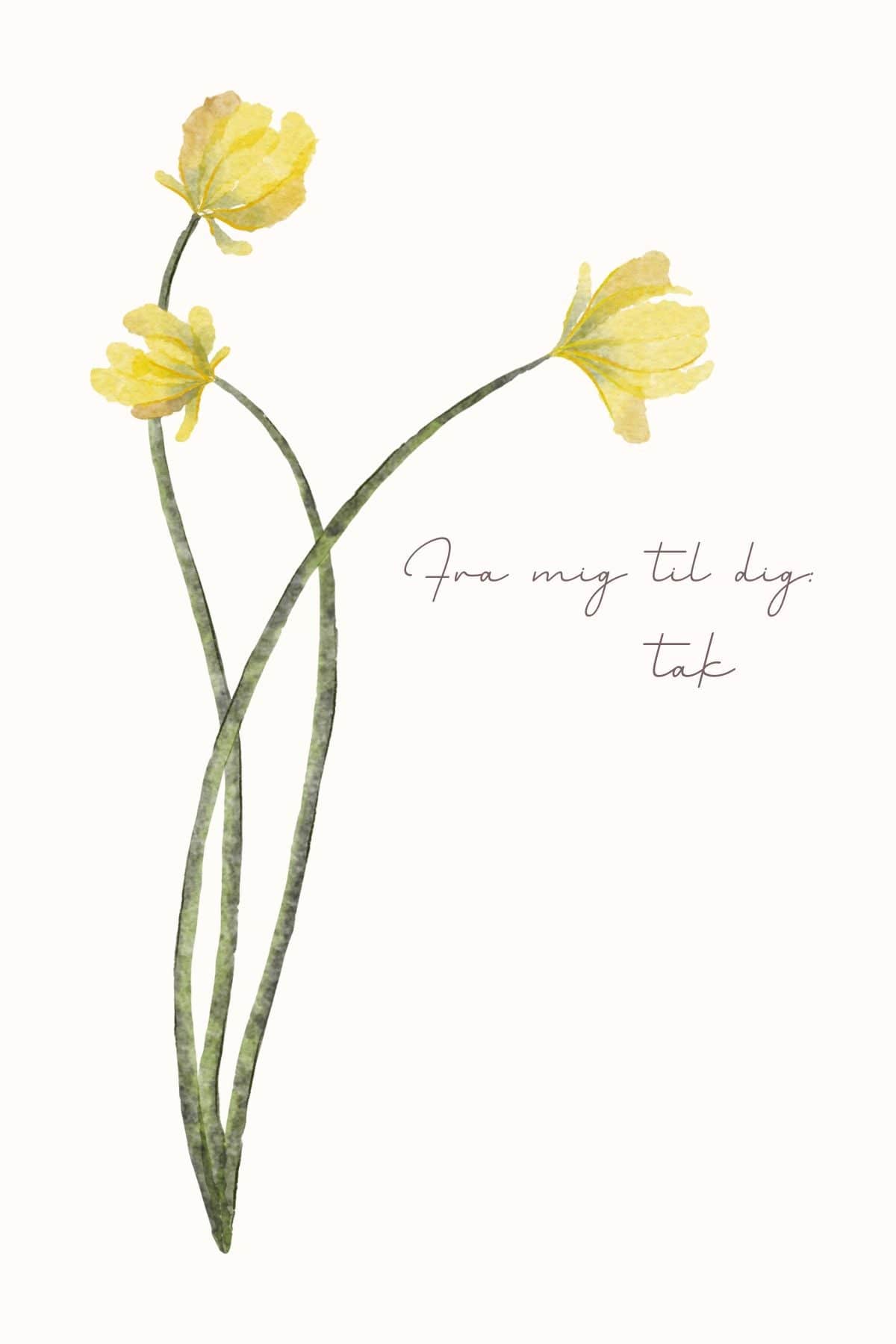 wrapin wrapin Indpakning & "fra mig til dig - tak" kort Indpakning