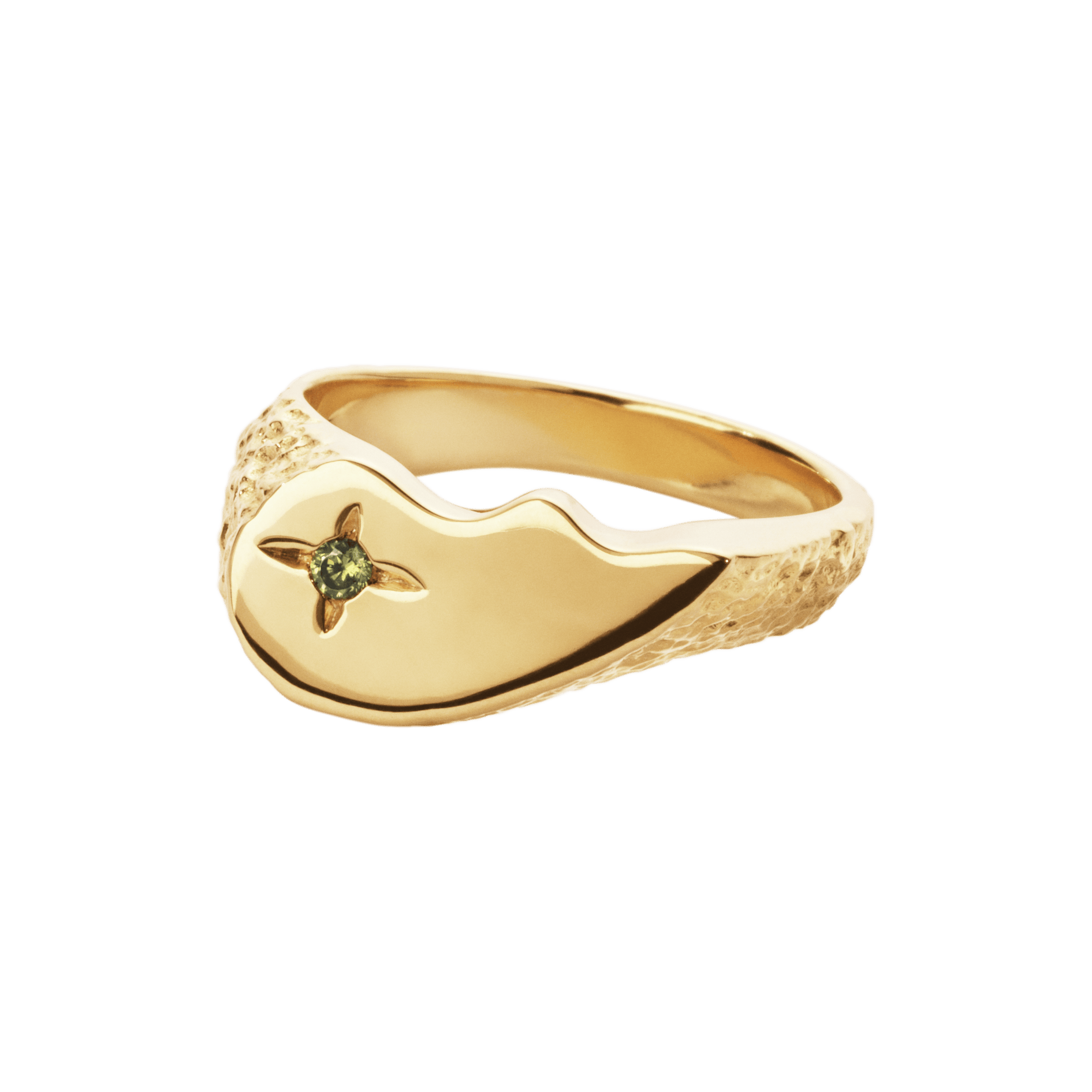Camille Brinch Ringe Shiny BFFsparkly ring - forgyldt