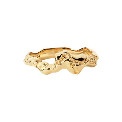 Camille Brinch Ringe Small Fusion Contrast Ring - forgyldt