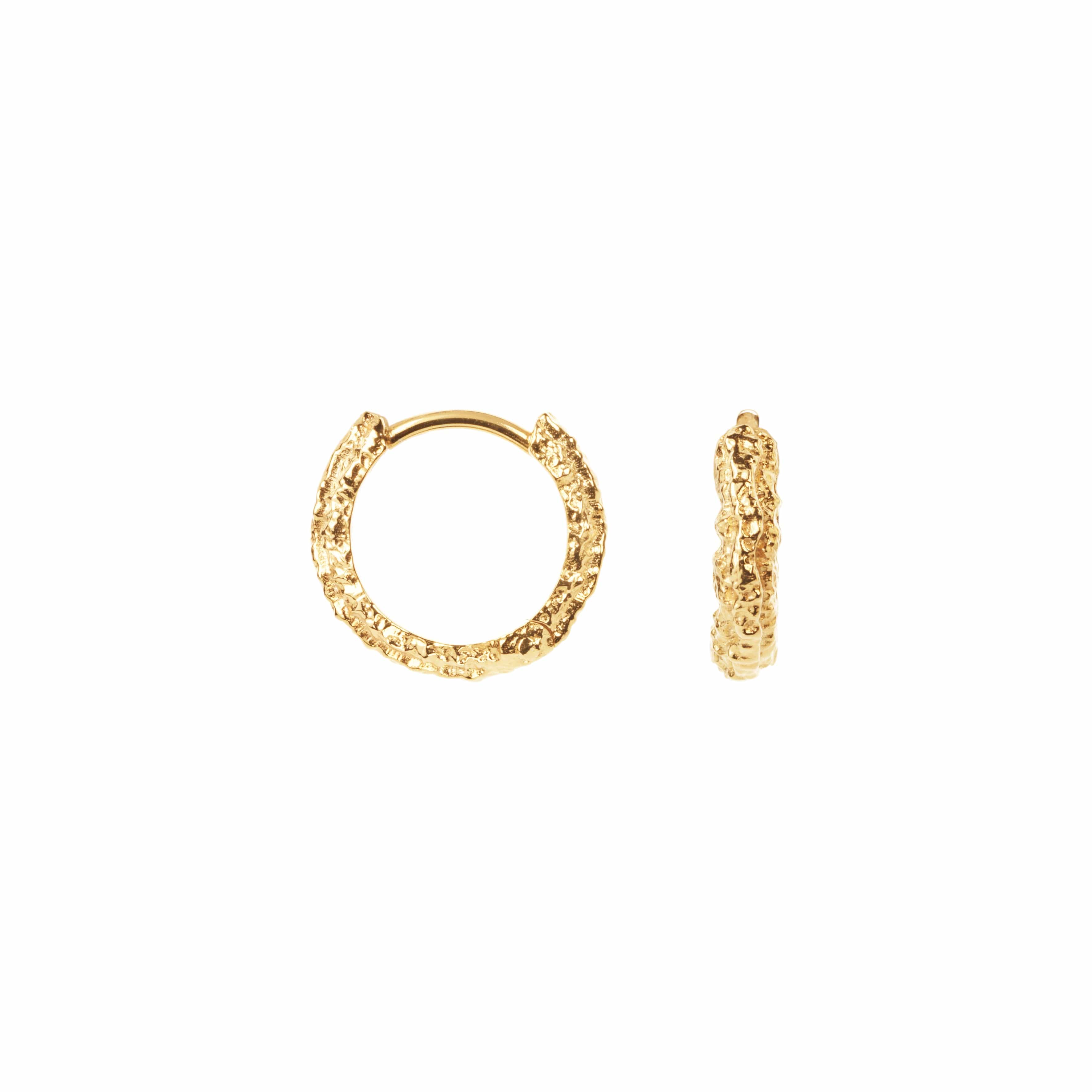 Camille Brinch Øreringe Small Sparkly Hoops - forgyldt SSPH-FG