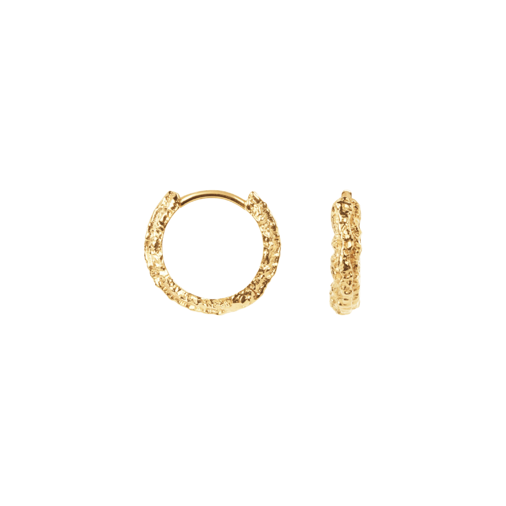 Camille Brinch Øreringe Small Sparkly Hoops - forgyldt SSPH-FG
