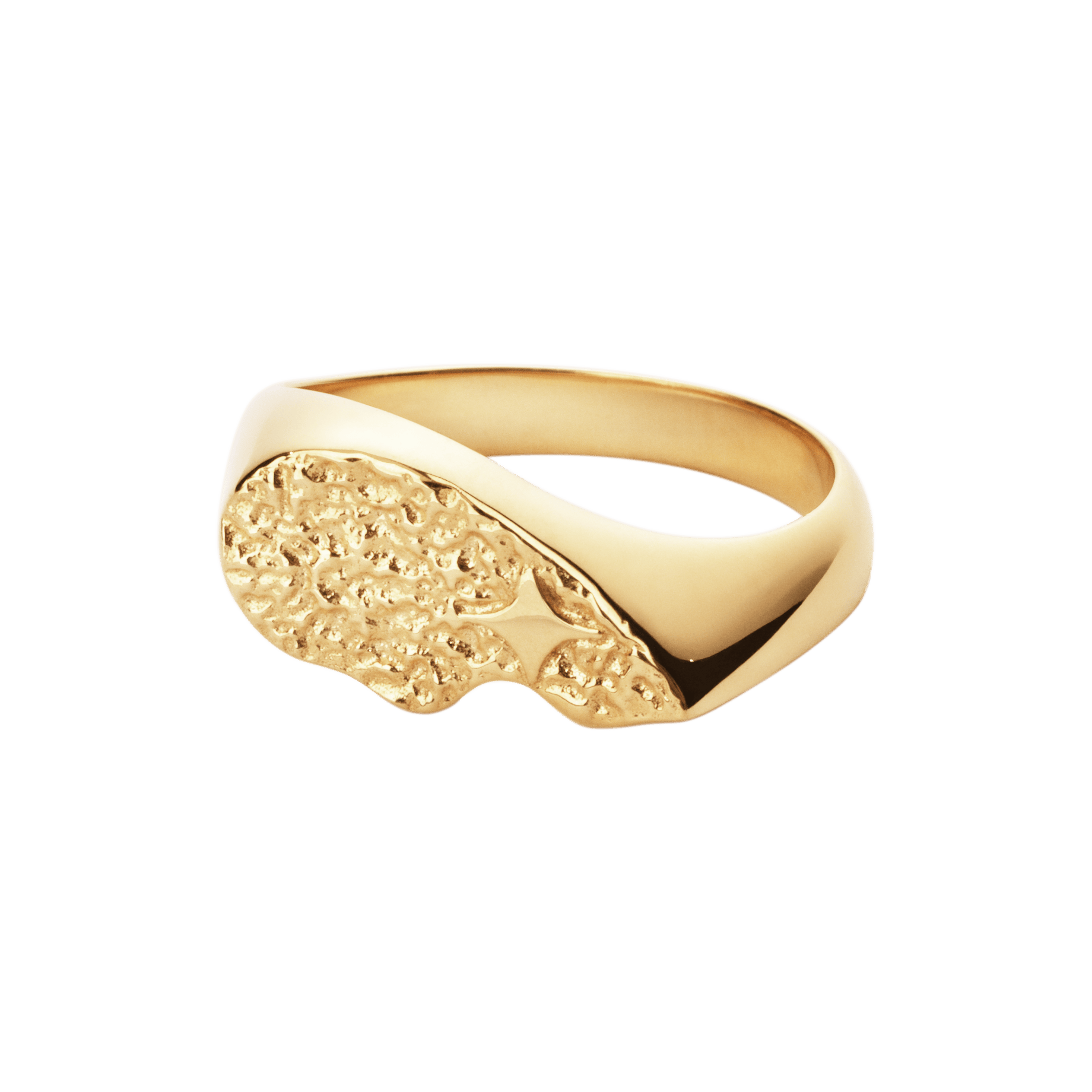 Camille Brinch Ringe Textured BFF sparkly ring - forgyldt