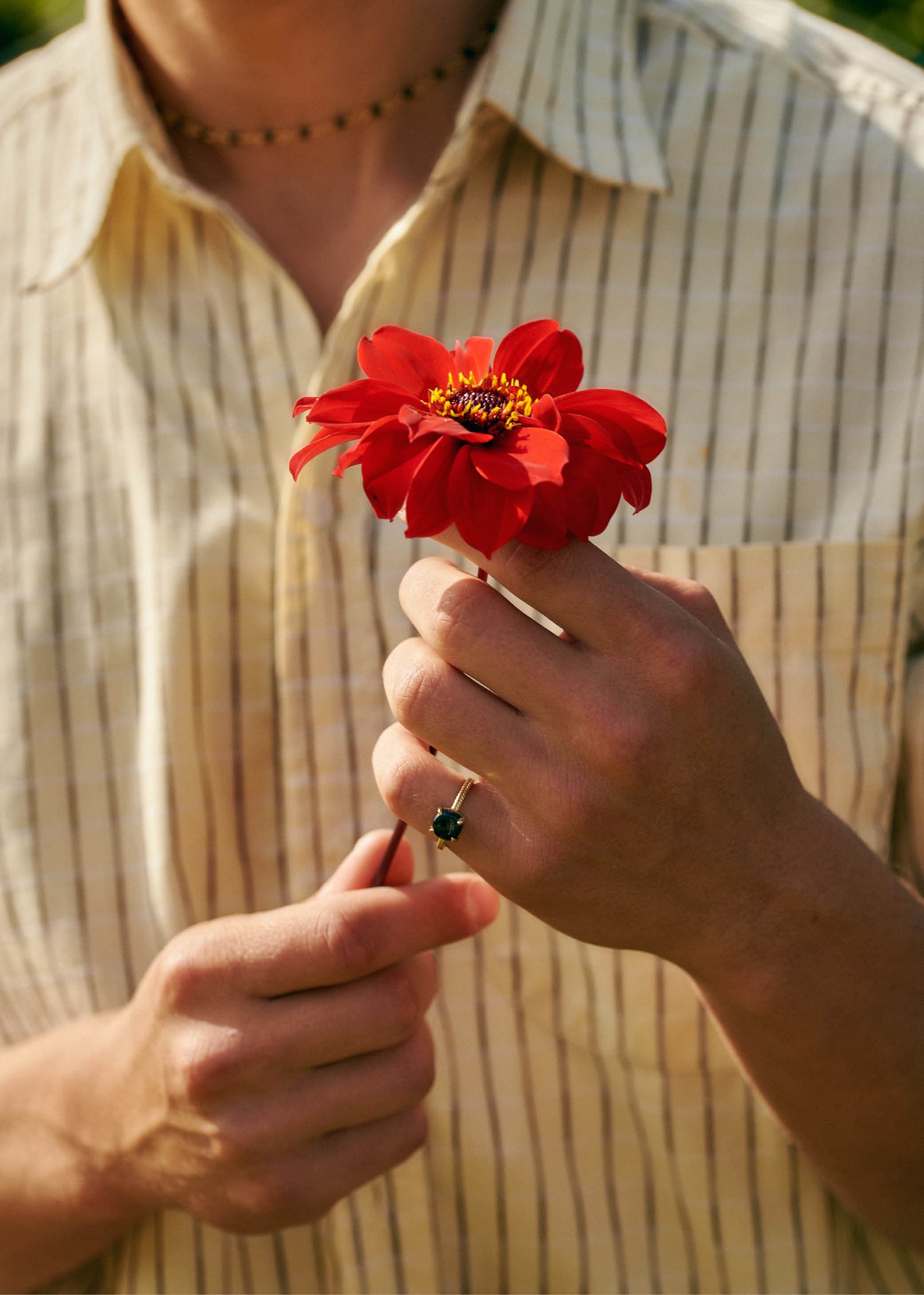 Carré Dawn ring med sort Agat - forgyldt