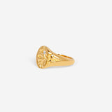 IX Studios Ringe IX Mini oval nature signet ring