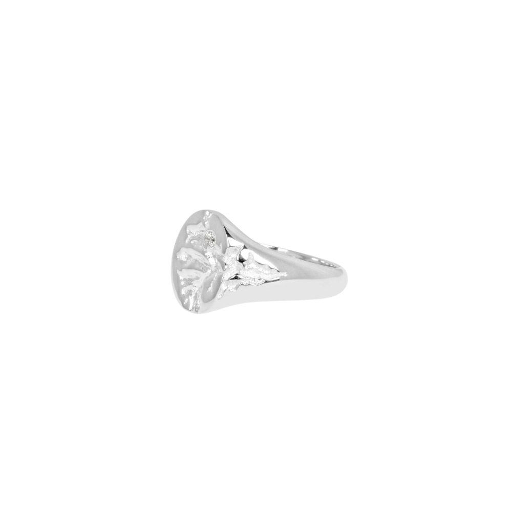 IX Studios Ringe IX Mini oval nature signet ring - sølv