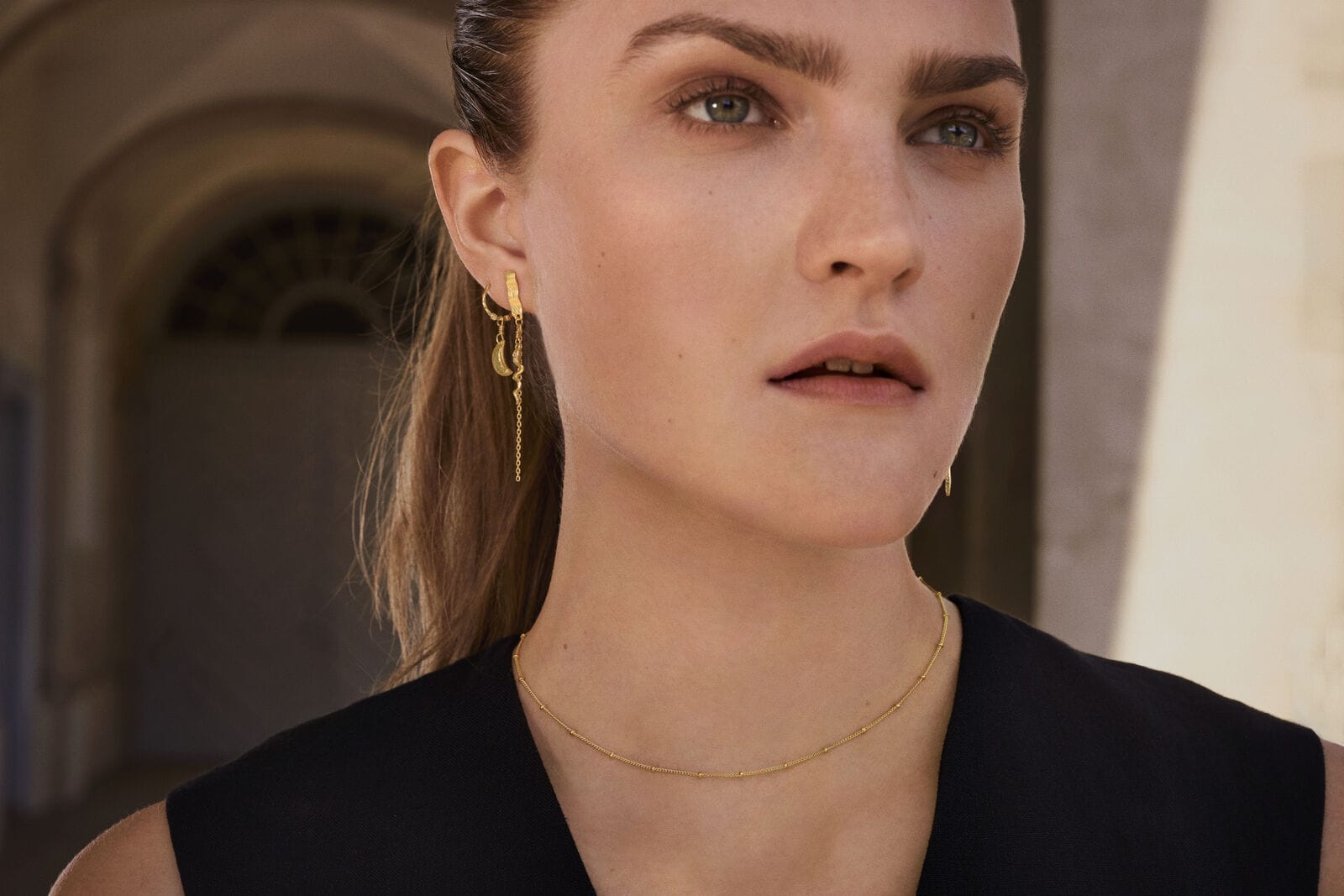 Maanesten Øreringe Delfine øreringe - Forgyldt 9847a