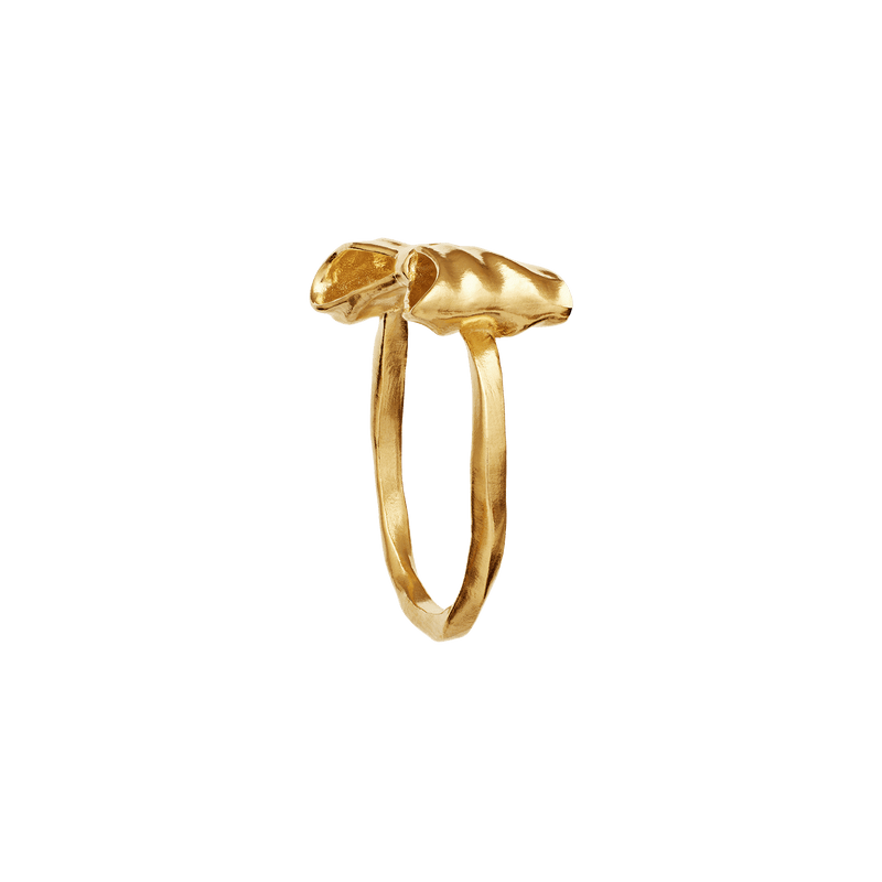 Maanesten Ringe Satin ring - forgyldt