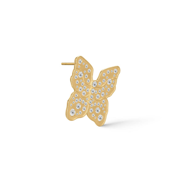 Polar Jewelry Øreringe BUTTERFLY ØRERING pol323