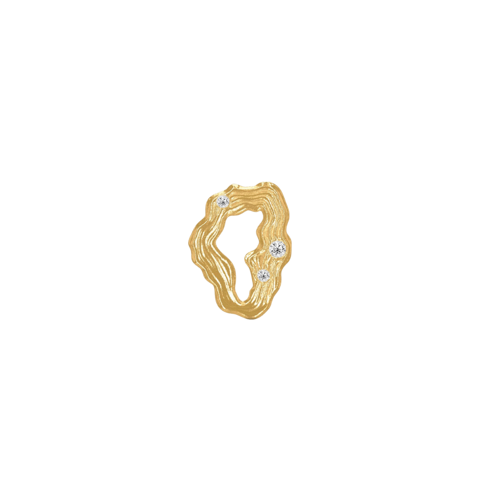 Polar Jewelry Øreringe Stellar ørering - forgyldt POL401